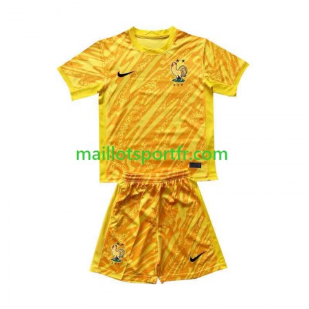Maillot de Foot France Gardien Enfant Domicile UEFA Euro 2024 Maillot de Foot France Gardien Enfant Domicile UEFA Euro 2024